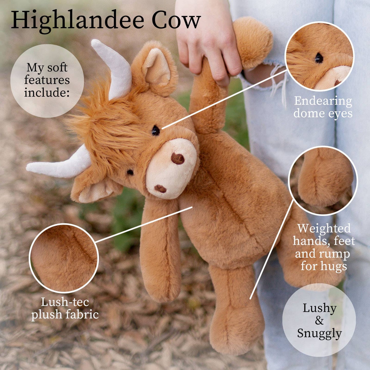 Highlandee Cow