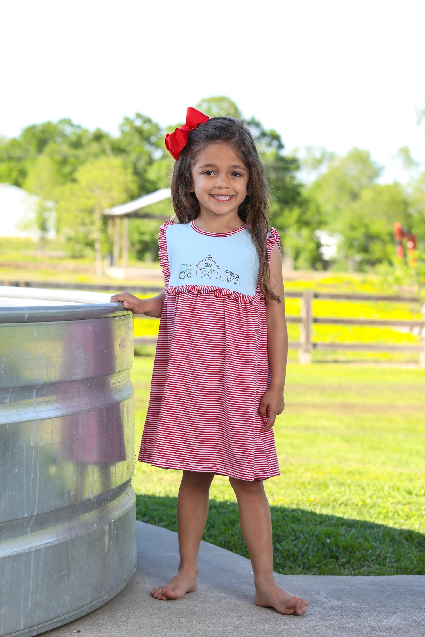 Farm Embroidery Dress