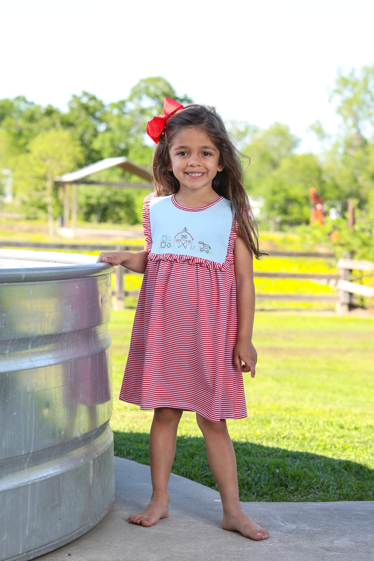 Farm Embroidery Dress