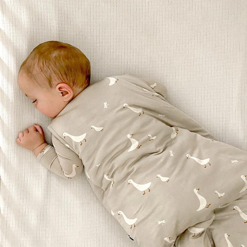 Sleep Bag: 2.5 tog - Goose