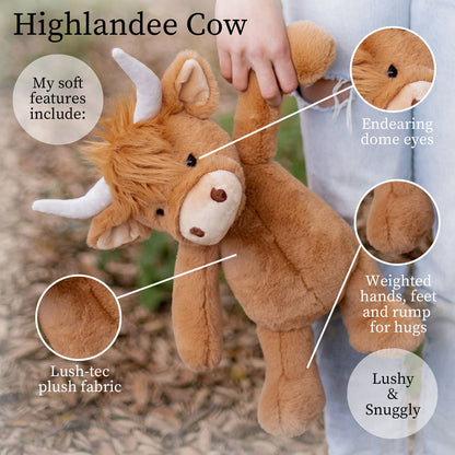 Highlandee Cow