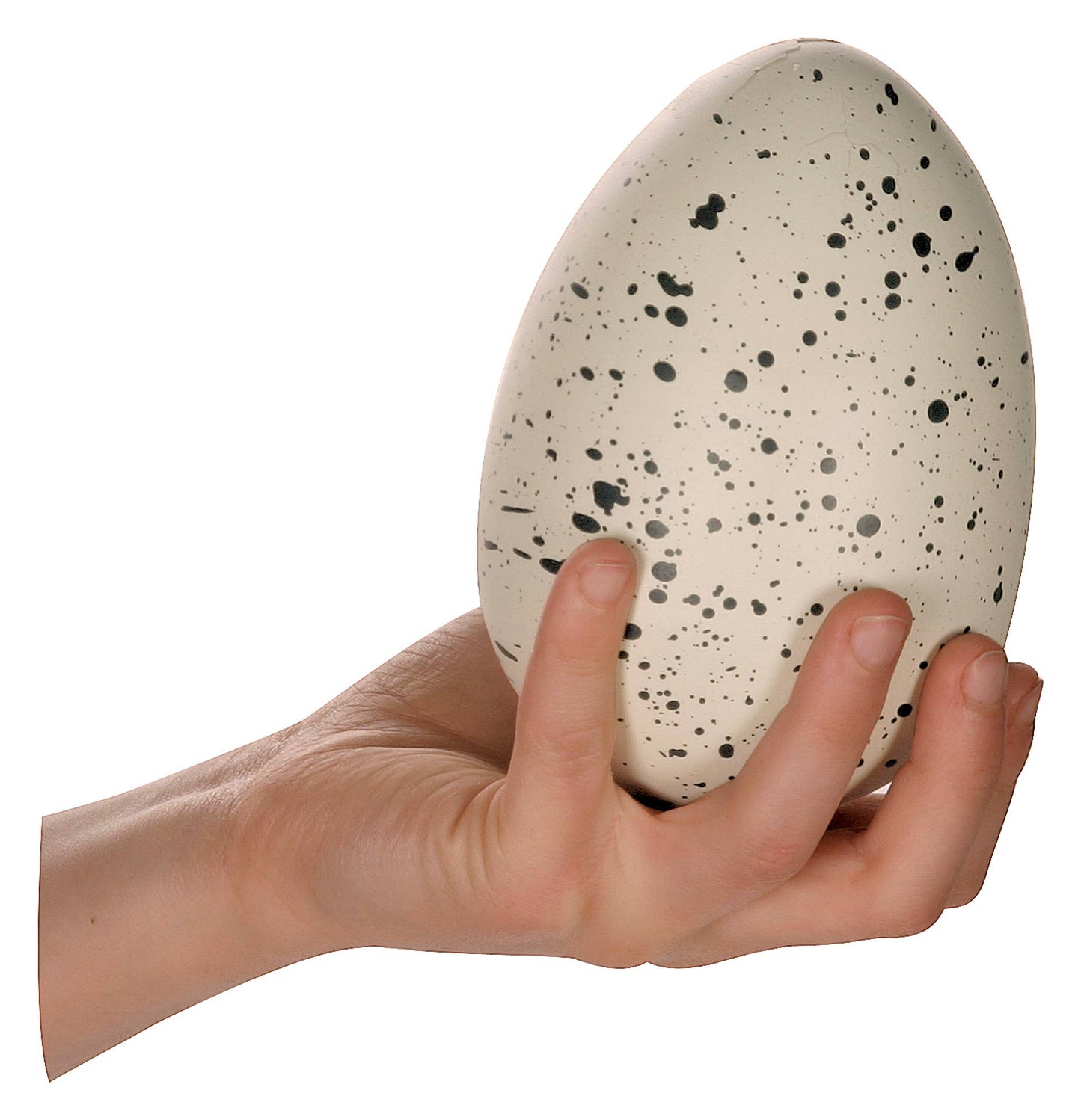 Ginormous Hatchin' Grow Dino Egg