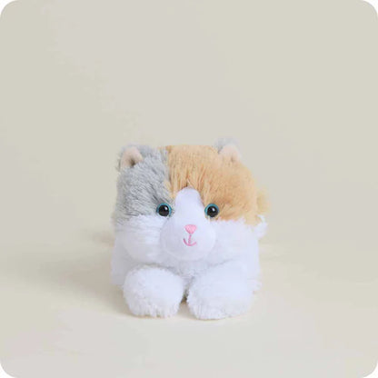 Calico Cat Warmies Junior