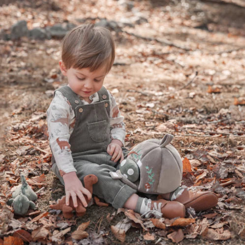 Dinosaur Family Top & Cord Overalls