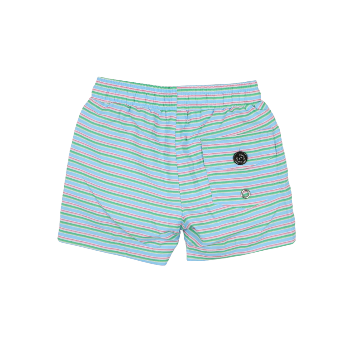 Sherbet Stripe Swim Trunk