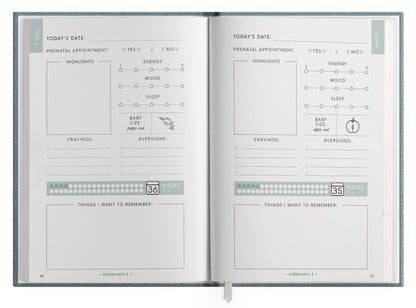 The Pregnancy Journal