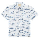Wind Surfing Polo