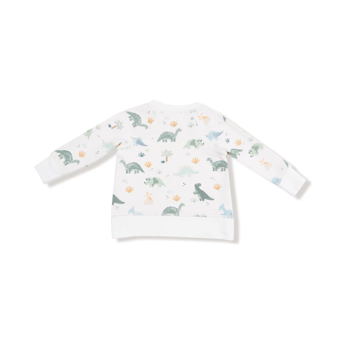 Dinos Sweatshirt And Jogger Set